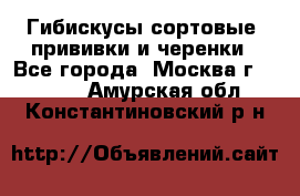 Гибискусы сортовые, прививки и черенки - Все города, Москва г.  »    . Амурская обл.,Константиновский р-н